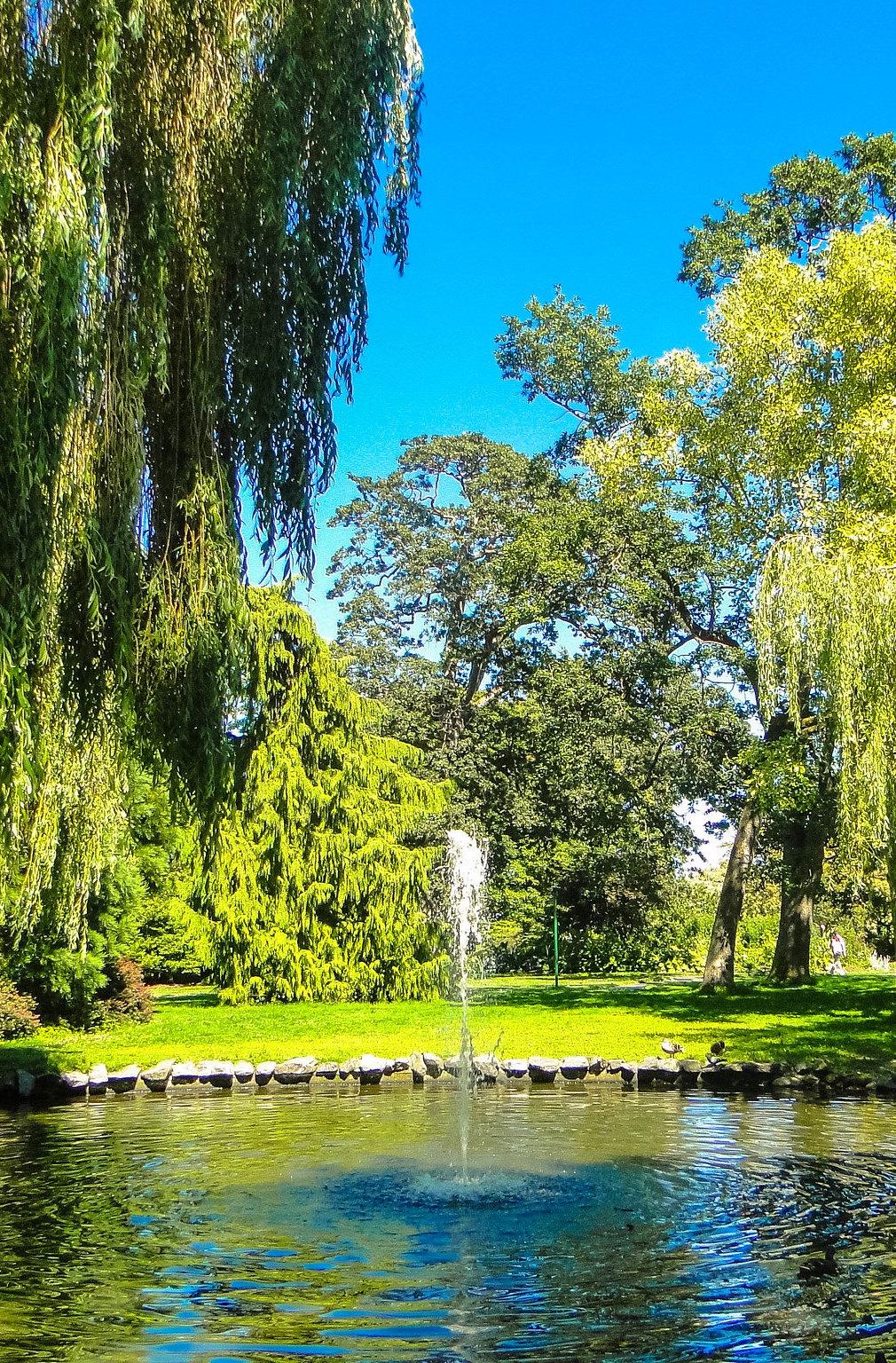Beacon Hill Park